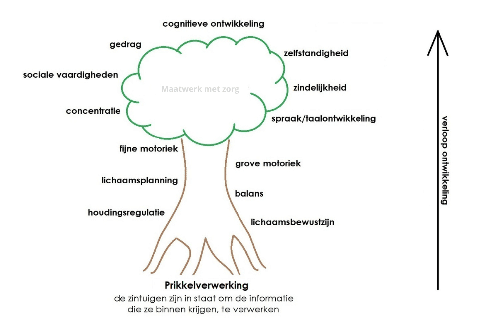 In de afbeelding is een uitleg van prikkelverwerking te zien. Een boom die staat voor het verloop van de ontwikkeling van een kind.